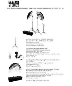 Silkflowersfactory Photography Photo Portrait Studio 600W Day Light Black/Silver Umbrella Continuous Lighting Kit 12 Silkflowersfactory Photography Photo Portrait Studio 600W Day Light Black/Silver Umbrella Continuous Lighting Kit