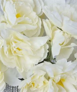 Silkflowersfactory Small Peony Bush Artificial Silk Flowers - Cream Artificial Flowers