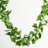 Silkflowersfactory Garlands Artificial Variegated Ivy Leaf Garland - 8 Ft 1 Silkflowersfactory Garlands Artificial Variegated Ivy Leaf Garland - 8 Ft