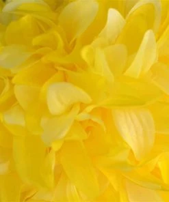Silkflowersfactory Dahlia Kissing Ball Artificial Silk Flowers - Yellow - 4 Pack