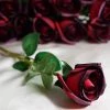 Silkflowersfactory Long Stem Roses Long Stem Rose Bud Artificial Silk Flowers - Black / Red 1 Silkflowersfactory Long Stem Roses Long Stem Rose Bud Artificial Silk Flowers - Black / Red
