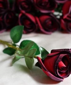 Silkflowersfactory Long Stem Roses Long Stem Rose Bud Artificial Silk Flowers - Black / Red