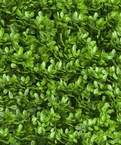 HIER_1920 11 Sq Ft. | 4 Panels Artificial Lime Green Boxwood Hedge Genlisea Faux Foliage Green Garden Wall Mat Wall Panels