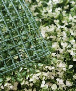 HIER_1920 11 Sq Ft. | 4 Panels Artificial Boxwood Hedge Faux Genlisea With White Tips Foliage Green Garden Wall Mat Wall Panels