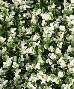 HIER_1920 11 Sq Ft. | 4 Panels Artificial Boxwood Hedge Faux Genlisea With White Tips Foliage Green Garden Wall Mat Wall Panels