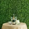 HIER_1920 11 Sq Ft. | 4 Panels Artificial Boxwood Hedge Black Locust And Cypress Leaves Foliage Green Garden Wall Mat Wall Panels