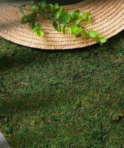 HIER_1720 18" X 16" Preserved Natural Moss Roll