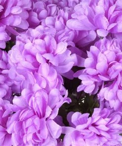 Silkflowersfactory Chrysanthemums Large Chrysanthemum Bush Artificial Silk Flowers - Lavender