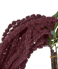 HIER_1400 Artificial Plants Pack Of 2 - 32” Burgundy Amaranthus Artificial Flower Stem With Ivy Leaves 15 HIER_1400 Artificial Plants Pack Of 2 - 32” Burgundy Amaranthus Artificial Flower Stem With Ivy Leaves