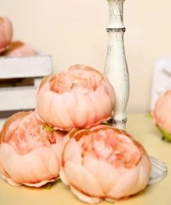 HIER_1130 10 Pack | 3