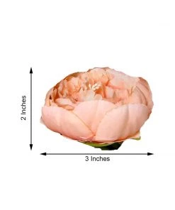 HIER_1130 10 Pack | 3