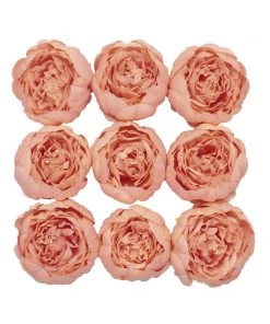 HIER_1130 10 Pack | 3