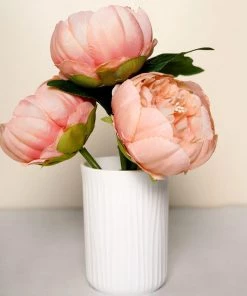 HIER_1130 10 Pack | 3