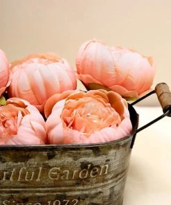 HIER_1130 10 Pack | 3