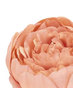 HIER_1130 10 Pack | 3