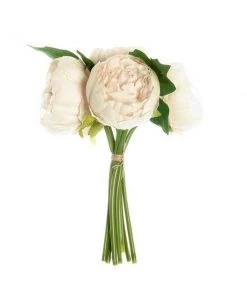 HIER_1130 5 Heads | 10