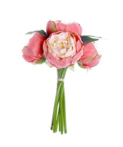 HIER_1130 5 Heads | 10