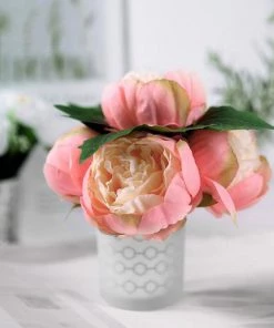 HIER_1130 5 Heads | 10