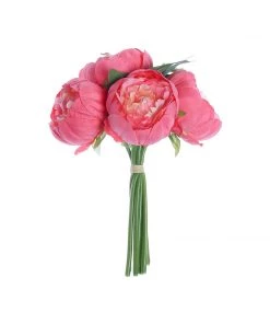 HIER_1130 5 Heads | 10