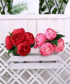 HIER_1130 5 Heads | 10