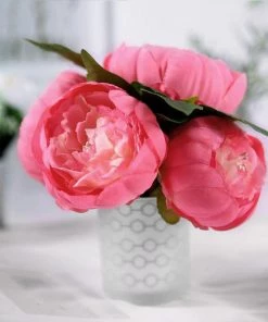 HIER_1130 5 Heads | 10