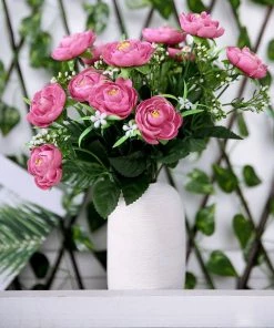 HIER_1130 4 Bushes | 12