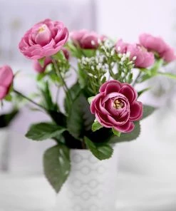 HIER_1130 4 Bushes | 12