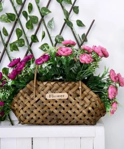 HIER_1130 4 Bushes | 12