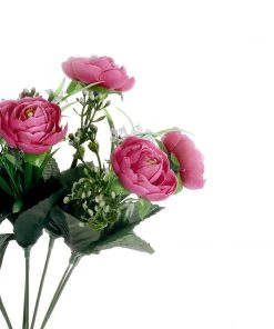 HIER_1130 4 Bushes | 12