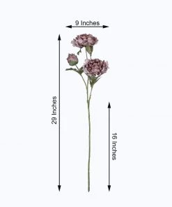 HIER_1130 2 Bushes | 29