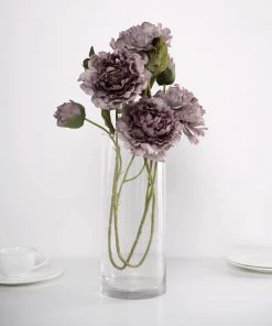 HIER_1130 2 Bushes | 29