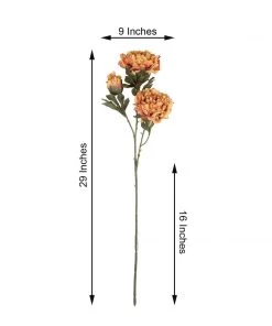 HIER_1130 2 Bushes | 29