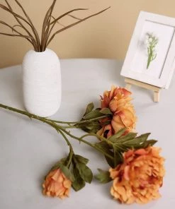 HIER_1130 2 Bushes | 29