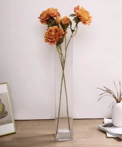 HIER_1130 2 Bushes | 29