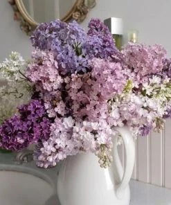 Silkflowersfactory Baby Breath Bushes Baby Breath Bush Artificial Silk Flowers - Cream 11 Silkflowersfactory Baby Breath Bushes Baby Breath Bush Artificial Silk Flowers - Cream