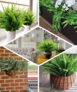 HIER_1600 2 Pack | 17" Boston Fern Leaf Stems, Artificial Greenery Decorative Fern Bushes, Faux Plants - Green Artificial Plants 19 HIER_1600 2 Pack | 17