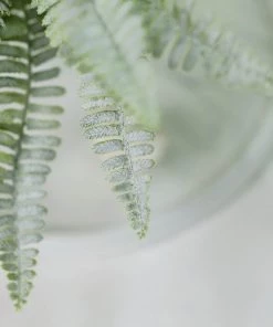 HIER_1600 2 Pack | 17