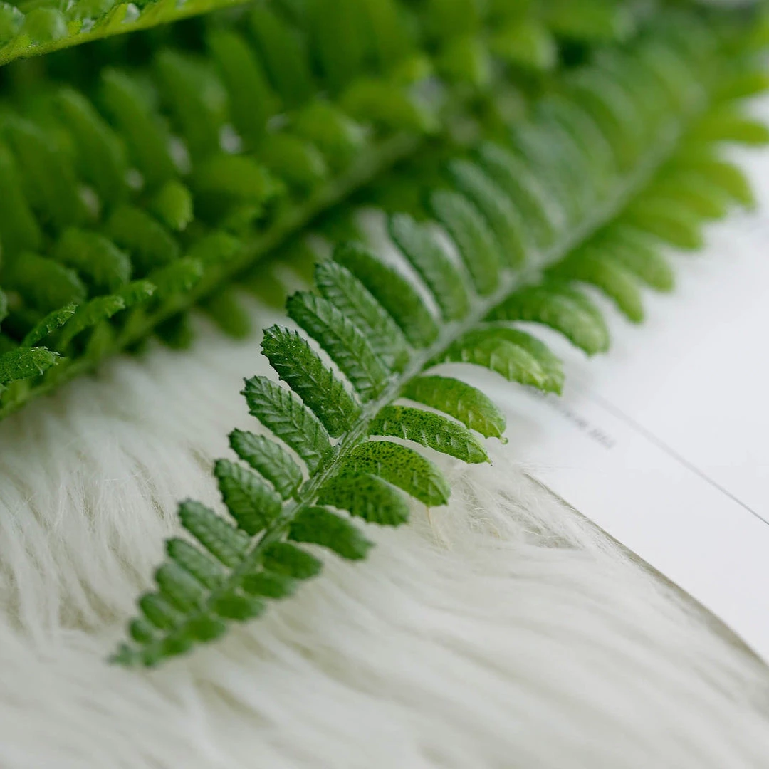 HIER_1600 2 Pack | 17" Boston Fern Leaf Stems, Artificial Greenery Decorative Fern Bushes, Faux Plants - Green Artificial Plants 12 HIER_1600 2 Pack | 17" Boston Fern Leaf Stems, Artificial Greenery Decorative Fern Bushes, Faux Plants - Green Artificial Plants