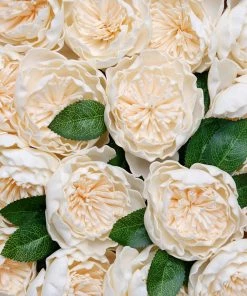 HIER_5120 16 Pack | 4" Artificial Roses & Silk Peonies Mix Flower Box DIY Foam Flower Bouquets - Cream Craft Flowers 30 HIER_5120 16 Pack | 4