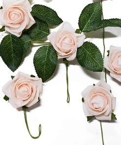 HIER_5120 24 Roses | 2