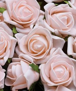 HIER_5120 24 Roses | 2