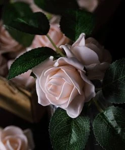 HIER_5120 24 Roses | 2