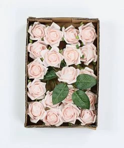 HIER_5120 24 Roses | 2