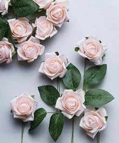 HIER_5120 24 Roses | 2