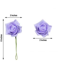 HIER_5120 24 Roses | 2