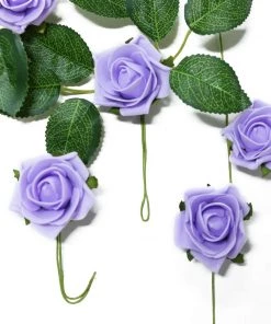 HIER_5120 24 Roses | 2