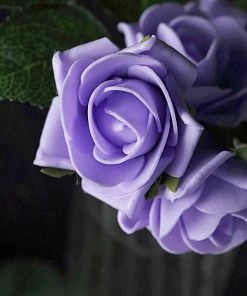 HIER_5120 24 Roses | 2