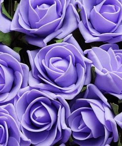 HIER_5120 24 Roses | 2