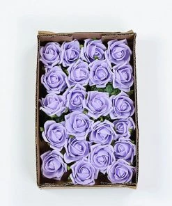 HIER_5120 24 Roses | 2