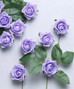 HIER_5120 24 Roses | 2